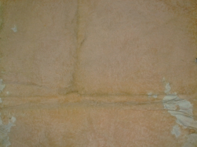 ���[�g���@�r��@�r�v�@LIGHT PINK�@���C�g�s���N�@���s���N