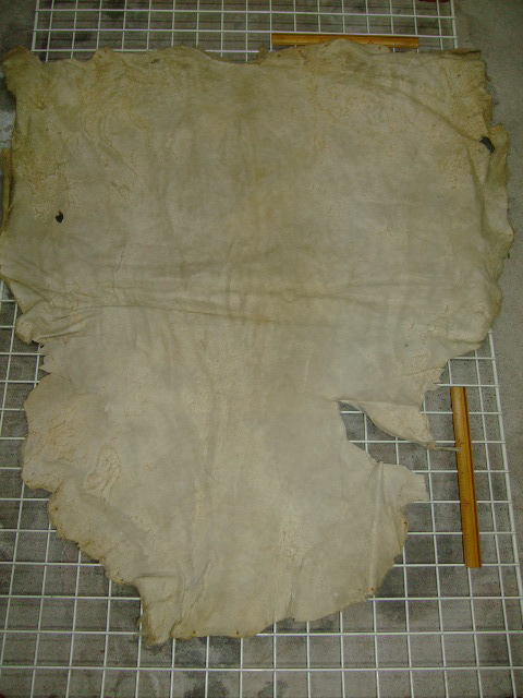 ���[�g���@�r��@�r�v�@LIGHT PINK�@���C�g�s���N�@���s���N