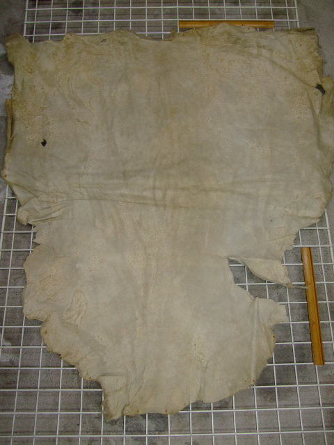 ���[�g���@�r��@�r�v�@LIGHT PINK�@���C�g�s���N�@���s���N