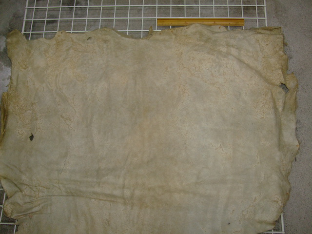 ���[�g���@�r��@�r�v�@LIGHT PINK�@���C�g�s���N�@���s���N