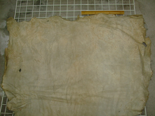 ���[�g���@�r��@�r�v�@LIGHT PINK�@���C�g�s���N�@���s���N