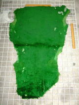 ムートン　羊皮　羊革　GREEN　グリーン　緑