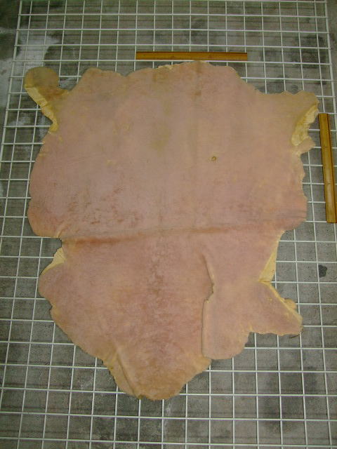 ���[�g���@�r��@�r�v�@LIGHT PINK�@���C�g�s���N�@���s���N