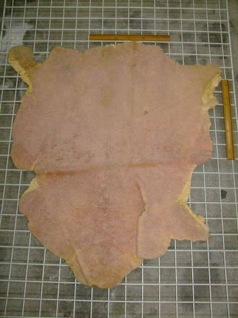 ���[�g���@�r��@�r�v�@LIGHT PINK�@���C�g�s���N�@���s���N