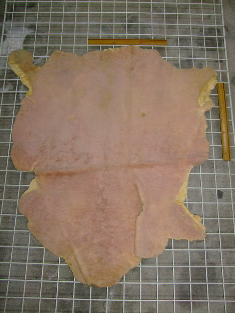 ���[�g���@�r��@�r�v�@LIGHT PINK�@���C�g�s���N�@���s���N