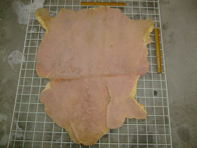 ���[�g���@�r��@�r�v�@LIGHT PINK�@���C�g�s���N�@���s���N