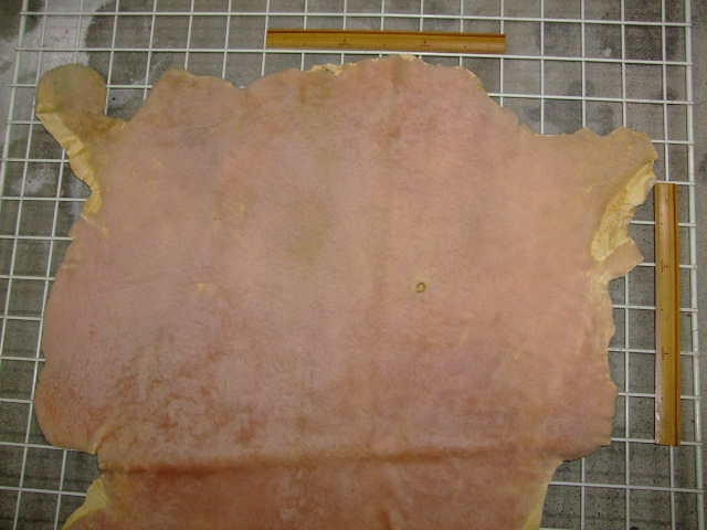 ���[�g���@�r��@�r�v�@LIGHT PINK�@���C�g�s���N�@���s���N