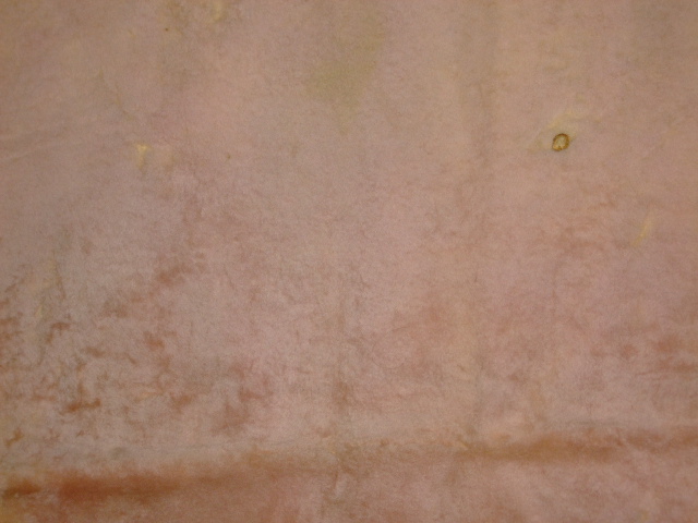 ���[�g���@�r��@�r�v�@LIGHT PINK�@���C�g�s���N�@���s���N