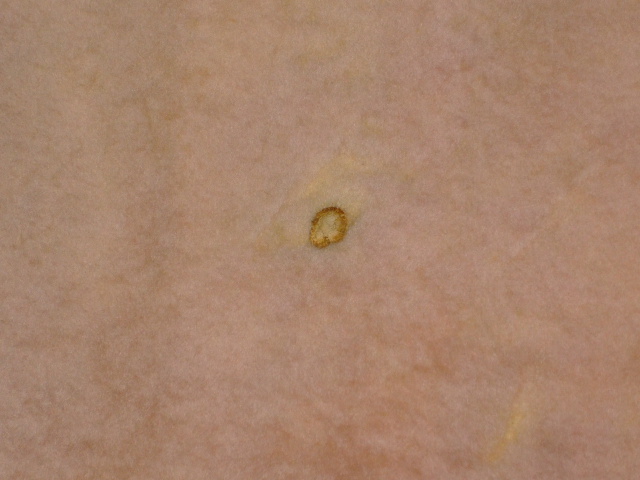 ���[�g���@�r��@�r�v�@LIGHT PINK�@���C�g�s���N�@���s���N