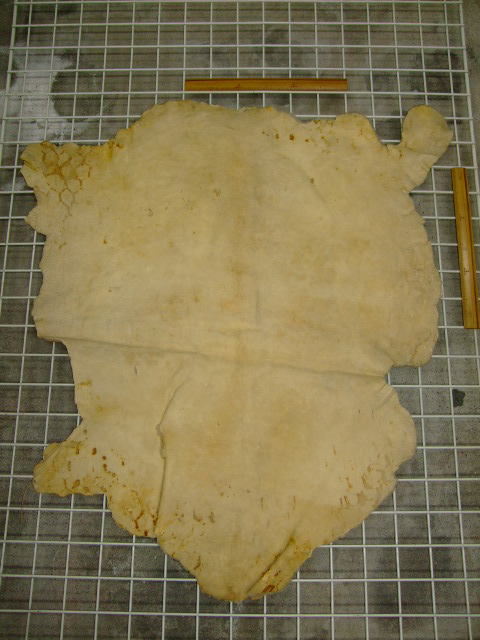 ���[�g���@�r��@�r�v�@LIGHT PINK�@���C�g�s���N�@���s���N