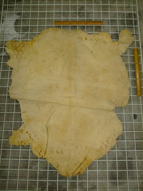 ���[�g���@�r��@�r�v�@LIGHT PINK�@���C�g�s���N�@���s���N