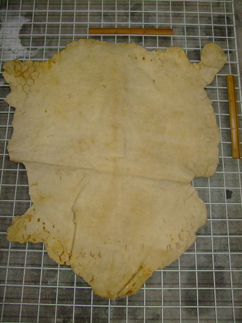 ���[�g���@�r��@�r�v�@LIGHT PINK�@���C�g�s���N�@���s���N