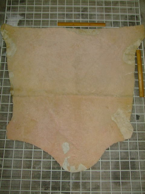 ���[�g���@�r��@�r�v�@LIGHT PINK�@���C�g�s���N�@���s���N