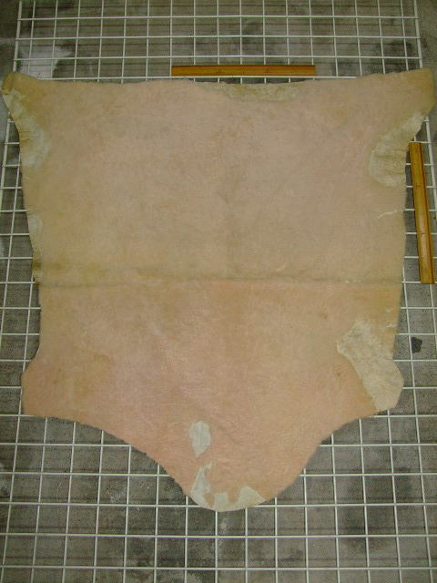 ���[�g���@�r��@�r�v�@LIGHT PINK�@���C�g�s���N�@���s���N