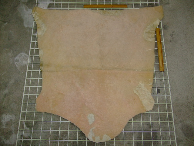 ���[�g���@�r��@�r�v�@LIGHT PINK�@���C�g�s���N�@���s���N