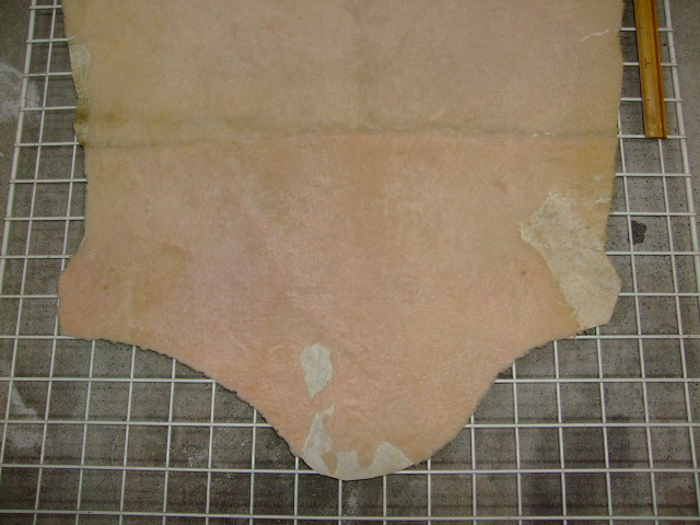 ���[�g���@�r��@�r�v�@LIGHT PINK�@���C�g�s���N�@���s���N