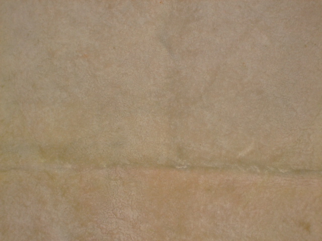 ���[�g���@�r��@�r�v�@LIGHT PINK�@���C�g�s���N�@���s���N