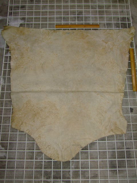 ���[�g���@�r��@�r�v�@LIGHT PINK�@���C�g�s���N�@���s���N