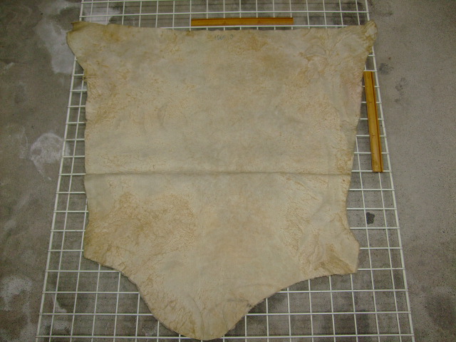 ���[�g���@�r��@�r�v�@LIGHT PINK�@���C�g�s���N�@���s���N