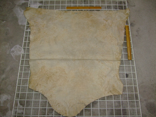 ���[�g���@�r��@�r�v�@LIGHT PINK�@���C�g�s���N�@���s���N