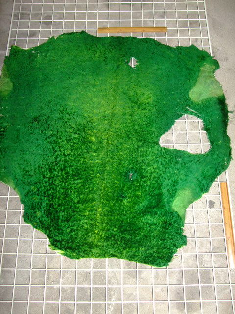 ���[�g���@�r��@�r�v�@GREEN�@�O���[���@��