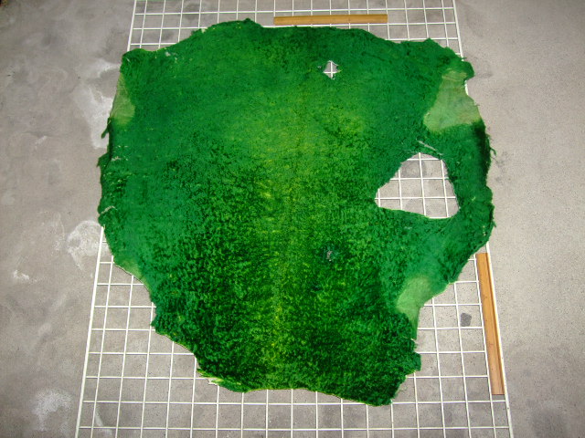 ���[�g���@�r��@�r�v�@GREEN�@�O���[���@��