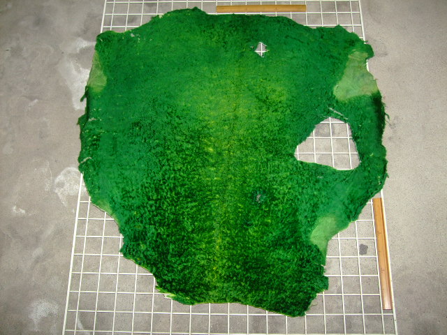 ���[�g���@�r��@�r�v�@GREEN�@�O���[���@��