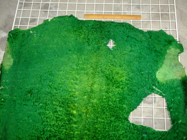 ���[�g���@�r��@�r�v�@GREEN�@�O���[���@��