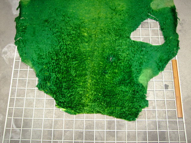 ���[�g���@�r��@�r�v�@GREEN�@�O���[���@��