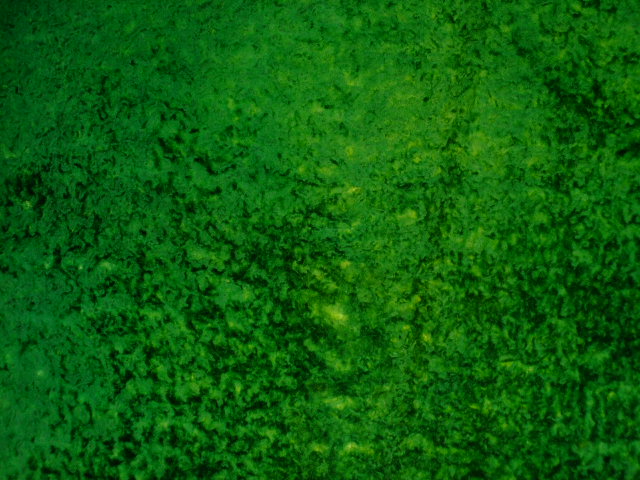 ���[�g���@�r��@�r�v�@GREEN�@�O���[���@��