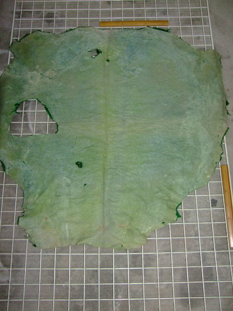 ���[�g���@�r��@�r�v�@GREEN�@�O���[���@��