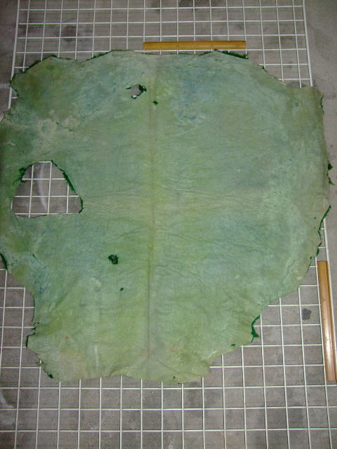 ���[�g���@�r��@�r�v�@GREEN�@�O���[���@��