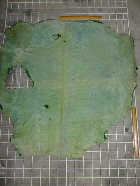 ���[�g���@�r��@�r�v�@GREEN�@�O���[���@��