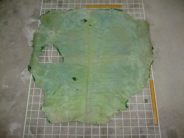 ���[�g���@�r��@�r�v�@GREEN�@�O���[���@��