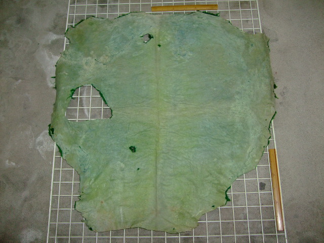 ���[�g���@�r��@�r�v�@GREEN�@�O���[���@��