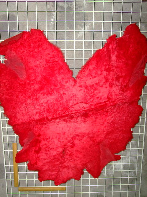 Mouton�@���[�g��