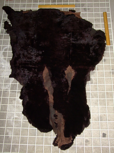 Mouton�@���[�g��