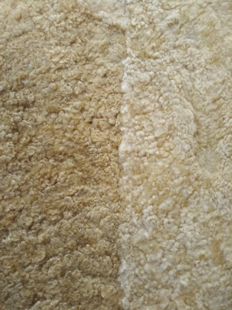 ���[�g���x�X�g�@�c�[�g���J���[